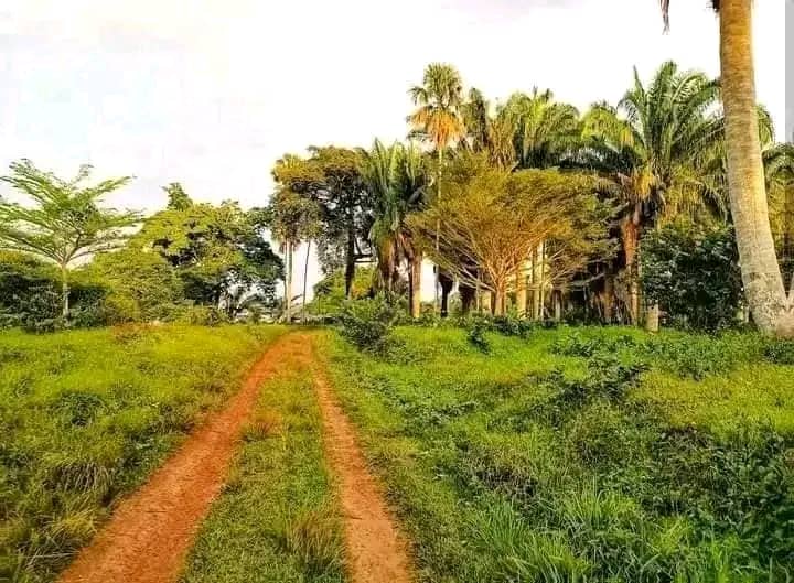Développement rural : l'urgence de rouvrir les routes vers les villages